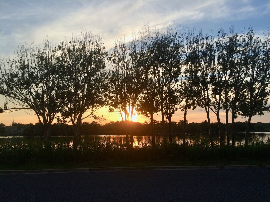 Bay Head, NJ Jersey Shore Vacation Rentals, Jersey Shore Vacation Rentals, Bay Head, NJ Jersey